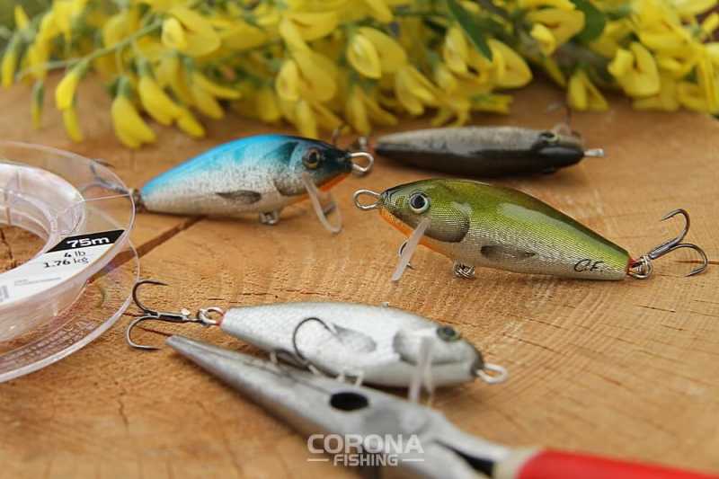 woblery na rzekę boleń